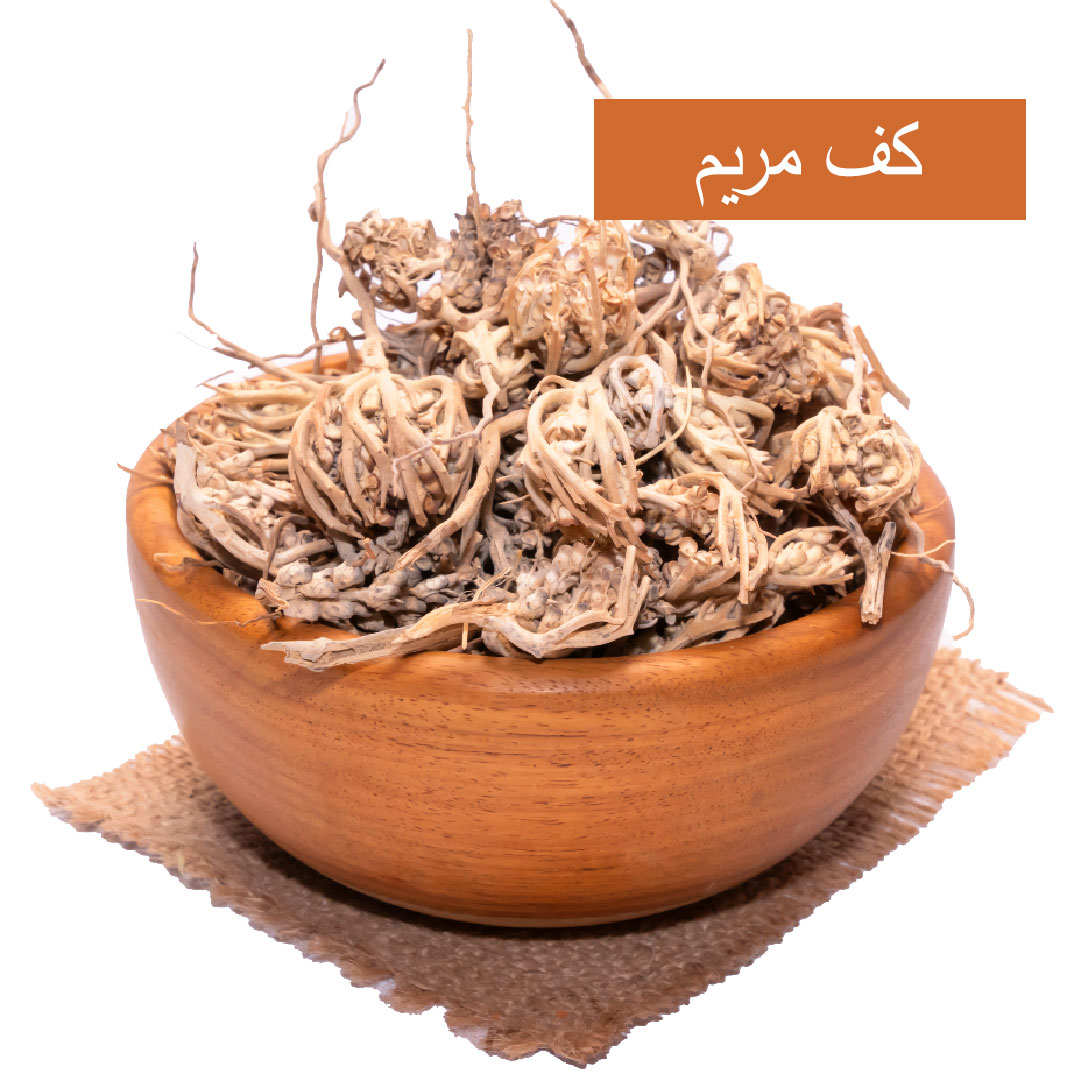 lamsathadramiya || لمسات حضرمية