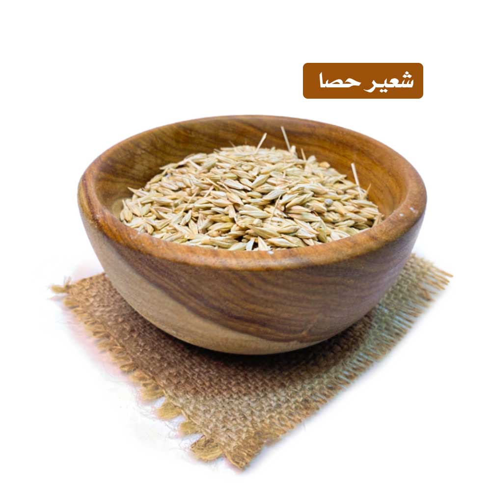 lamsathadramiya || لمسات حضرمية