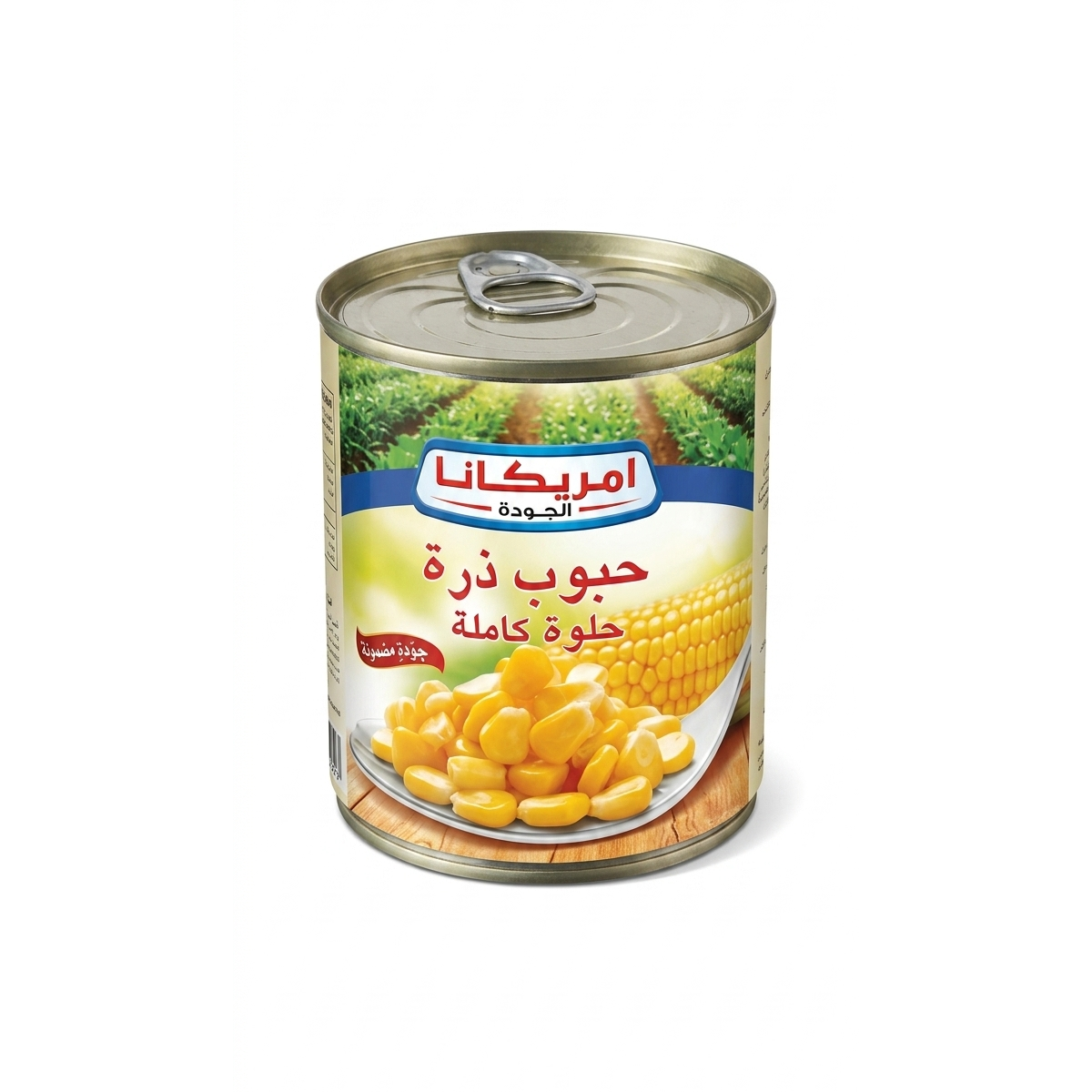 lamsathadramiya || لمسات حضرمية